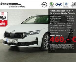 Skoda Skoda Octavia COMBI SELECTION TDI DSG+AHK+SITZ-/LE Gebrauchtwagen