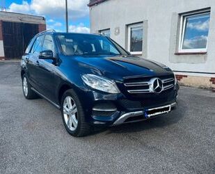 Mercedes-Benz Mercedes-Benz GLE 250 d 4MATIC -360 camera, panora Gebrauchtwagen