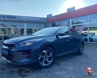 Kia Kia XCeed 1.0 T-GDI Edition 7+Emo+LED+Freisprech+N Gebrauchtwagen