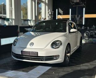 VW Volkswagen Beetle 1.2 TSI DSG BMT Design Xenon LED Gebrauchtwagen