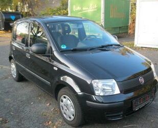 Fiat Fiat Panda 1.2 8V Classic Gebrauchtwagen