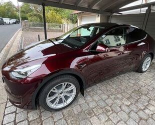 Tesla Tesla Model Y SR - AHK BYD Keramikversiegelung Gebrauchtwagen