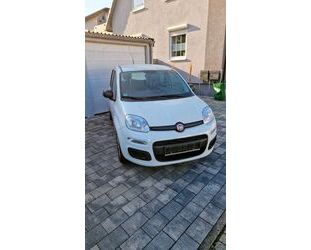 Fiat Fiat New Panda 1.2 8V Easy Gebrauchtwagen