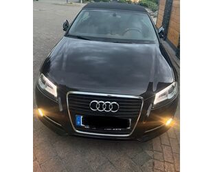 Audi Audi A3 2.0 TDI Attraction Cabriolet Attraction Gebrauchtwagen