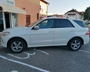 Mercedes-Benz Mercedes-Benz ML 250 CDI BlueTec AMG AHK 3,5 Tonne Gebrauchtwagen