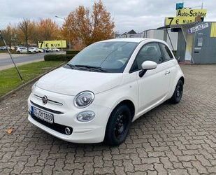 Fiat Fiat 500 1.0 Hybrid CLUB 8fach bereift Gebrauchtwagen