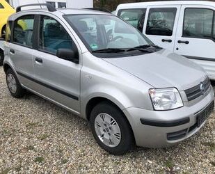 Fiat Fiat New Panda 1.2 8V Dynamic Gebrauchtwagen