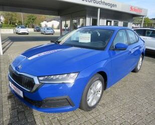 Skoda Skoda Octavia Active 1,0 TSI EG LED,Assistenzsyste Gebrauchtwagen