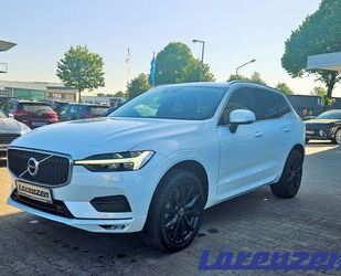 Volvo Volvo XC60 B5 Mild-Hybrid 2.0 AWD Momentum Pro All Gebrauchtwagen