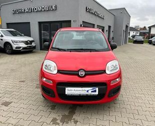 Fiat Fiat Panda Easy 1. Hand Gebrauchtwagen