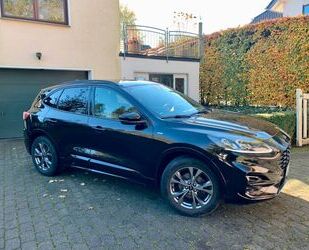 Ford Ford Kuga 1,5 150PS ST-Line X Kamera Winterpake Gebrauchtwagen