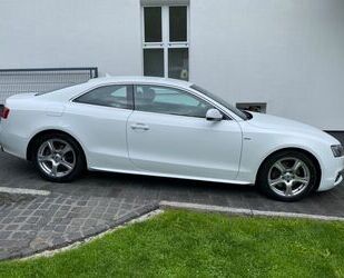 Audi Audi A5 3.0 TDI (DPF) S tronic quattro 3x S-LINE N Gebrauchtwagen