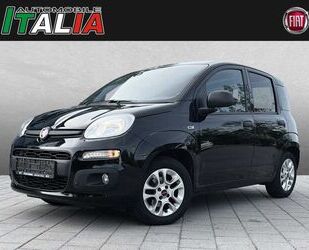 Fiat Fiat Panda 1.2 More Gebrauchtwagen