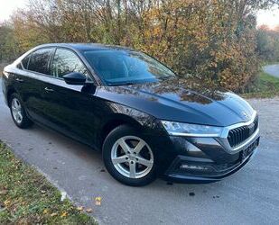 Skoda Skoda Octavia 2.0 TDI 85kW Limousine Gebrauchtwagen