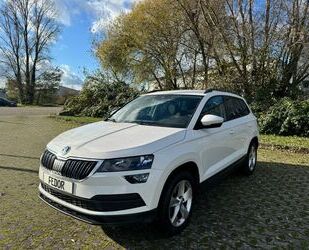 Skoda Skoda Karoq Ambition Aut Navi Camera Gebrauchtwagen