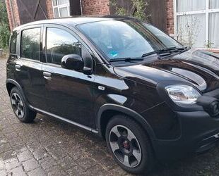 Fiat Fiat Panda 1.0 GSE Hybrid CITY PLUS CITY PLUS Gebrauchtwagen