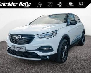 Opel Opel Grandland X 1.2 Turbo Design Line NAVI LED 36 Gebrauchtwagen