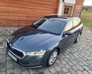 Skoda Skoda Octavia Style Navi Pano SHZ v+h Kamera ACC Gebrauchtwagen