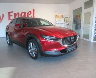 Mazda Mazda CX-30 2.0 e-SKYACTIV-G M-Hybrid 150 AWD/STH Gebrauchtwagen