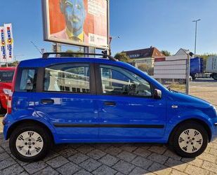 Fiat Fiat Panda 1.2 8V Dynamic Mo.´06, SD, PDC, Euro4 Gebrauchtwagen