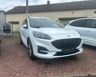 Ford Ford Kuga ST-Line X Head UP + B&O Gebrauchtwagen