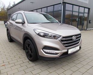 Hyundai Hyundai TUCSON 1.6 Turbo GDI Navi*AHK*Kamera*Sitzh Gebrauchtwagen