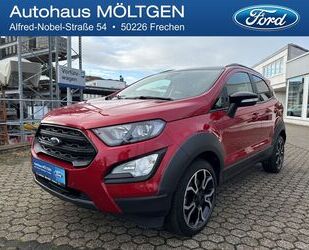 Ford Ford EcoSport Active 1.0 *TWA*PDC*Tempo*DAB*RFK*Na Gebrauchtwagen