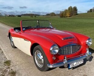 Austin Healey Austin Healey 100-6 BN4 Gebrauchtwagen