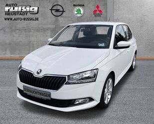 Skoda Skoda Fabia Cool Plus 1,0l TSI *LPG* Gebrauchtwagen