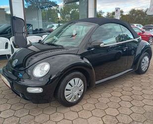 VW Volkswagen New Beetle Cabriolet 1.6 Highline*Garan Gebrauchtwagen