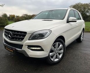 Mercedes-Benz Mercedes-Benz ML 250 ML -Klasse ML 250 CDI BlueTec Gebrauchtwagen