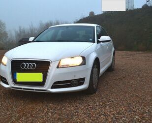 Audi Audi A3 1.6 TDI (DPF) 77kW Ambition Sportback Gebrauchtwagen