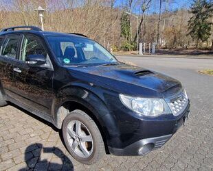 Subaru Forester Gebrauchtwagen