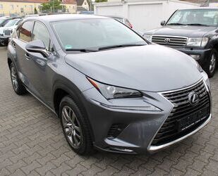 Lexus Lexus NX 300 h E-Four Executive Line *Navi*Leder*8 Gebrauchtwagen