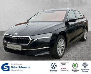 Skoda Skoda Octavia Combi 2.0 TDI DSG Selection AHK+NAVI Gebrauchtwagen