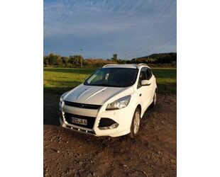 Ford Ford Kuga 2,0 TDCi 2x4 110kW Individual Gebrauchtwagen