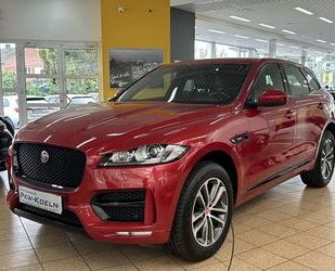 Jaguar Jaguar F-PACE 35t R-SPORT AWD *XENON*LED*NAVi*KAME Gebrauchtwagen