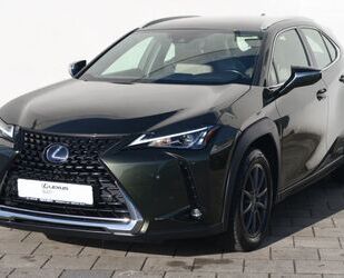 Lexus UX Gebrauchtwagen