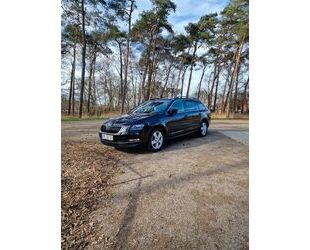 Skoda Skoda Octavia 1.4 TSI G-TEC DSG Style Combi Style Gebrauchtwagen