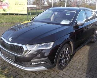 Skoda Skoda Octavia Scout 4x4 2,0 TDI DSG AHK/Navi Colum Gebrauchtwagen