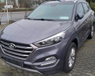 Hyundai Hyundai Tucson blue 1.6 GDI Intro Edition 2WD Intr Gebrauchtwagen