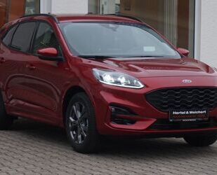 Ford Ford Kuga 1.5 EcoBoost ST-LINE X Gebrauchtwagen