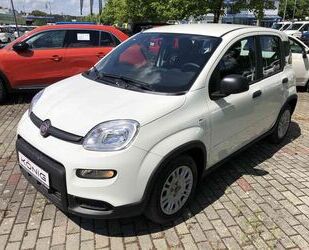 Fiat Fiat Panda MY24 1.0 Klima PDC Radio Gebrauchtwagen