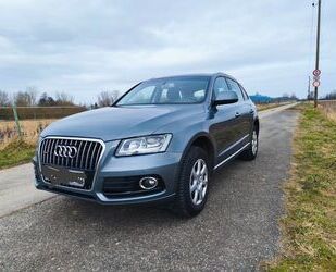 Audi Audi Q5 2.0 TDI 140kW Quattro Euro 6 Panorama Gebrauchtwagen