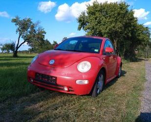 VW Volkswagen Beetle Gebrauchtwagen