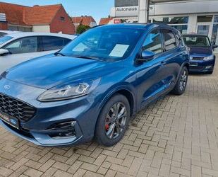 Ford Ford Kuga ST-Line X Gebrauchtwagen