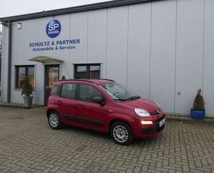 Fiat Fiat Panda My Panda // 2.Hd., Allw., Klima, AHK, Gebrauchtwagen