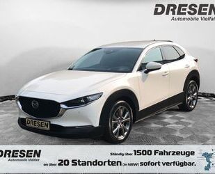 Mazda Mazda CX-30 Selection Skyactiv-X FWD Navi LED ACC, Gebrauchtwagen