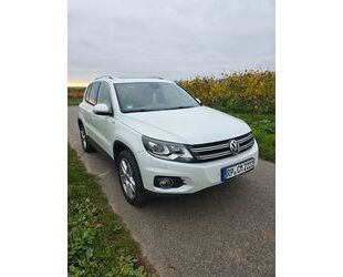 VW Volkswagen Tiguan 2.0 TDI SCR 135 DSG 4M BMT LOU. Gebrauchtwagen