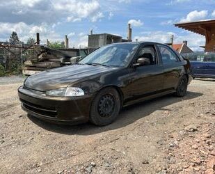 Honda Honda Civic EG9 VTEC Gebrauchtwagen